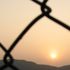 Almudi.org - La justicia vive por el amor