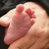 Almudi.org - Referéndum sobre el aborto