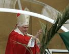Almudi.org - Benedicto XVI en el Domingo de Ramos